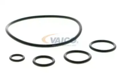 vaico-v300859