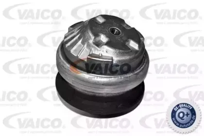 vaico-v301110