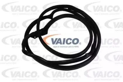 vaico-v301548