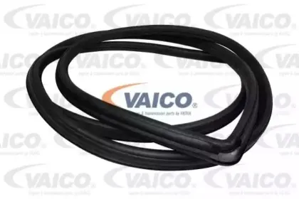 vaico-v301558