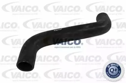 V30-1617 VAICO Шланг радиатора