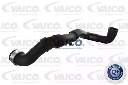 V30-1652 VAICO Шланг радиатора