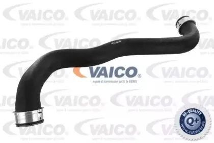 V30-1653 VAICO Шланг радиатора