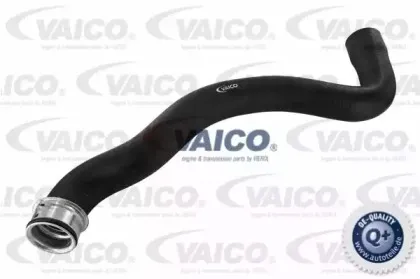 V30-1655 VAICO Шланг радиатора
