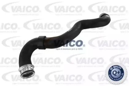 V30-1657 VAICO Шланг радиатора