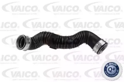 V30-1775 VAICO Трубка нагнетаемого воздуха