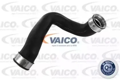 vaico-v301784