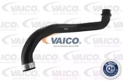 V30-1913 VAICO Шланг радиатора