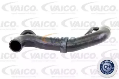 vaico-v301950