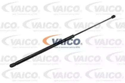 vaico-v302074