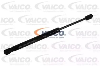 vaico-v302075