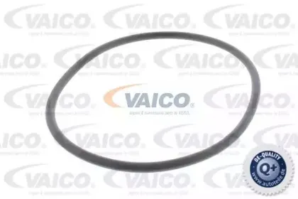 vaico-v302194