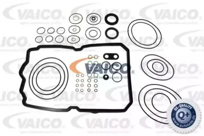 vaico-v302204
