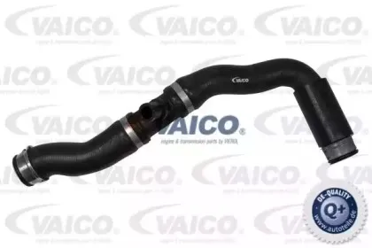 vaico-v302222