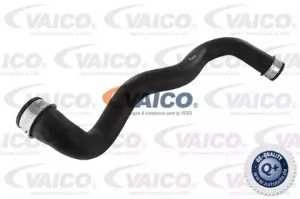 vaico-v302228