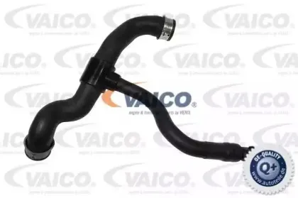 V30-2231 VAICO Шланг радиатора