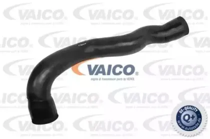 vaico-v302249