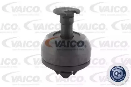 vaico-v302281
