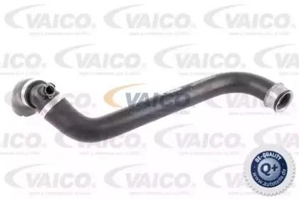 V30-2684 VAICO Шланг, вентиляция картера