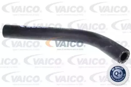 V30-3146 VAICO Шланг радиатора