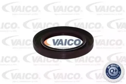 vaico-v306140