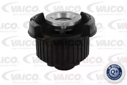 vaico-v307533