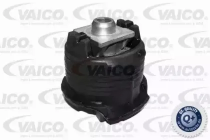 vaico-v307534