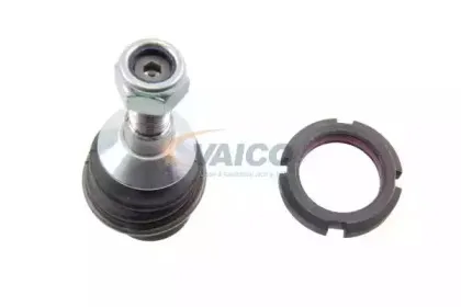vaico-v307579