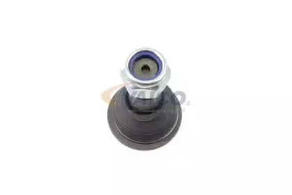 vaico-v307602