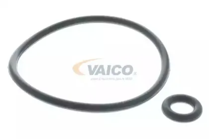 vaico-v308119
