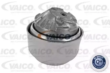 vaico-v308191