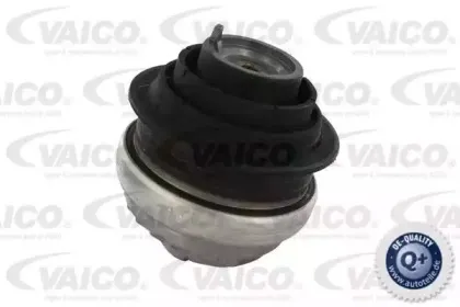 vaico-v308192