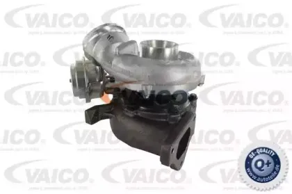 vaico-v308218