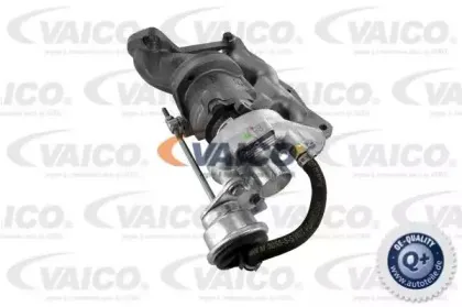 vaico-v308221