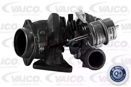 vaico-v308235