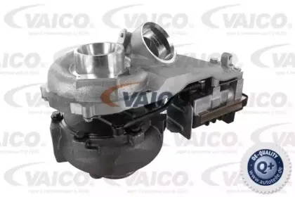 vaico-v308244