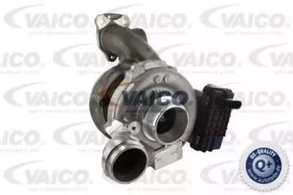 vaico-v308317