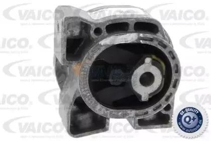 vaico-v309916