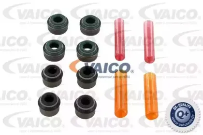 vaico-v309944