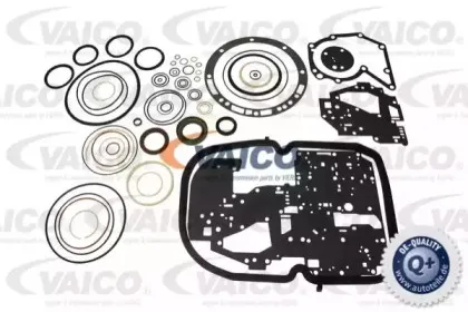vaico-v309956