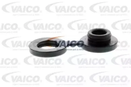 vaico-v309987