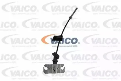 vaico-v3230006