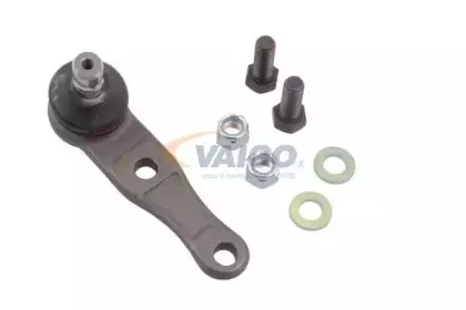vaico-v329526