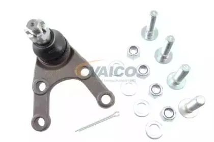 vaico-v379509
