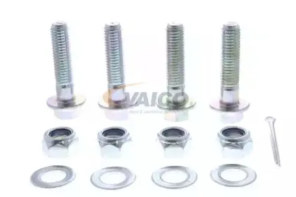 vaico-v379509