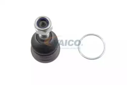 vaico-v380021
