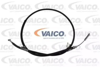 vaico-v3830009