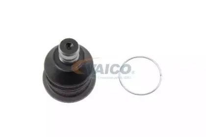 vaico-v389513