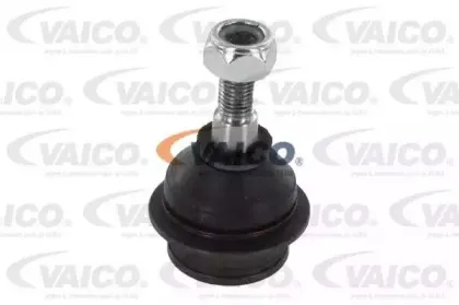 vaico-v389519