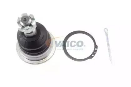 vaico-v389521